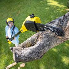 Best Hazardous Tree Removal  in Arden Arde, CA